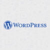 Ultimate WP_query guide with arguments
