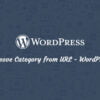 Remove Category from URL - WordPress
