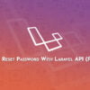 Vue Js Reset Password With Laravel API