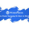 How to Create Users Taxonomy in WordPress