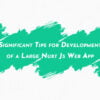 Significant Tips for Development of a Large Nuxt Js Web App