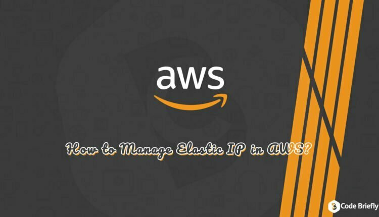 How to manage elastic IP in AWS?